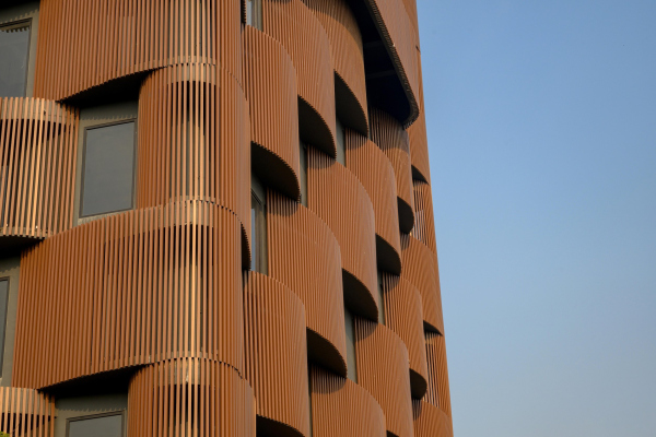 ������� ������ Stella � ������� ���������� � Vinay Panjwani