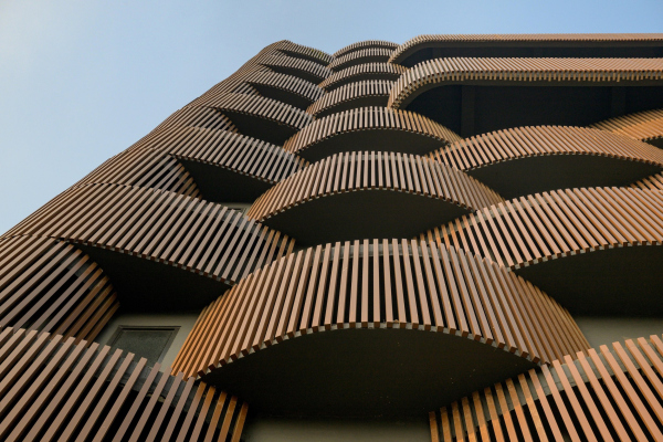 ������� ������ Stella � ������� ���������� � Vinay Panjwani