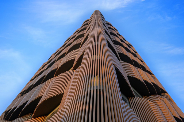 ������� ������ Stella � ������� ���������� � Vinay Panjwani