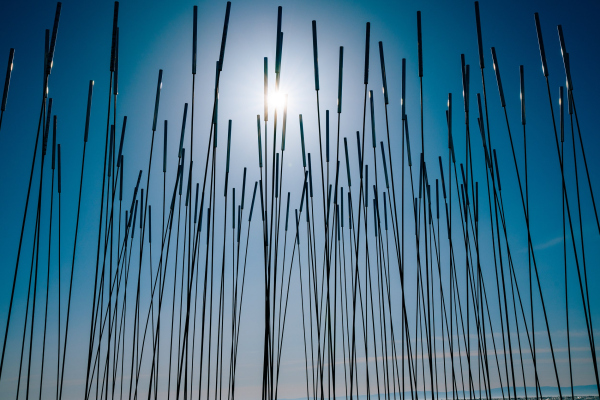 ��� � �������, �������