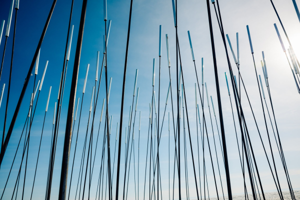 ��� � �������, �������