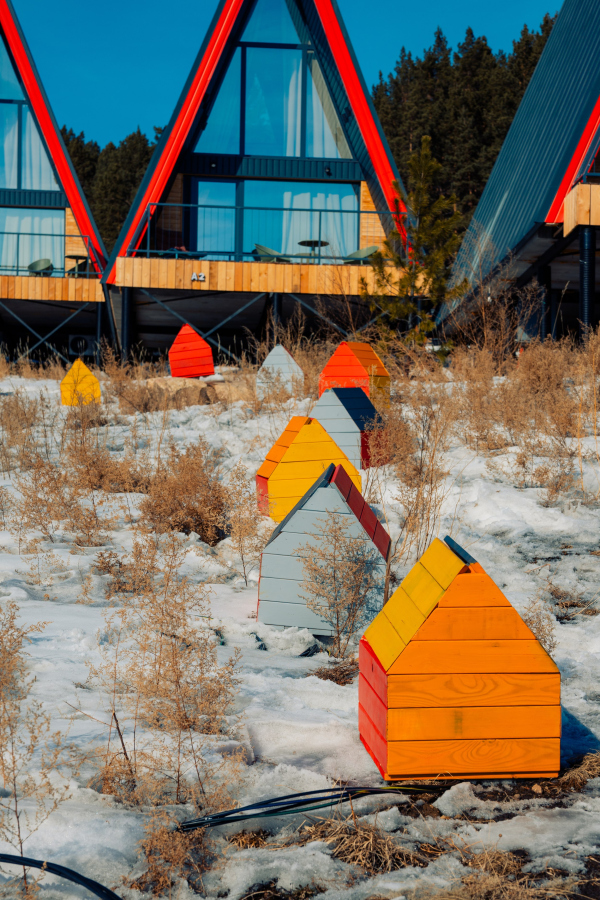 XX ������������� ������������� ��������� ��������� � ���������� ������������� ������������ ��������� ���������