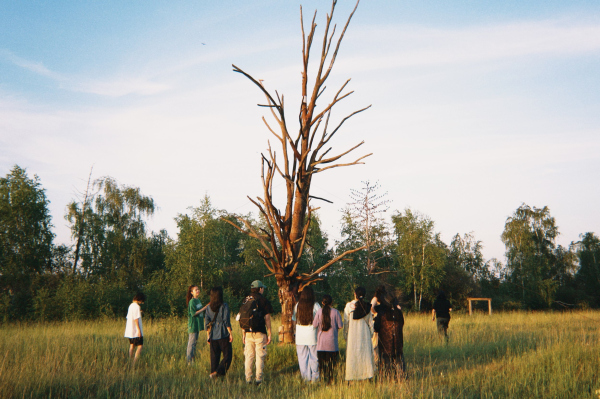 ���������� ���������� � ������������� Grd:studio