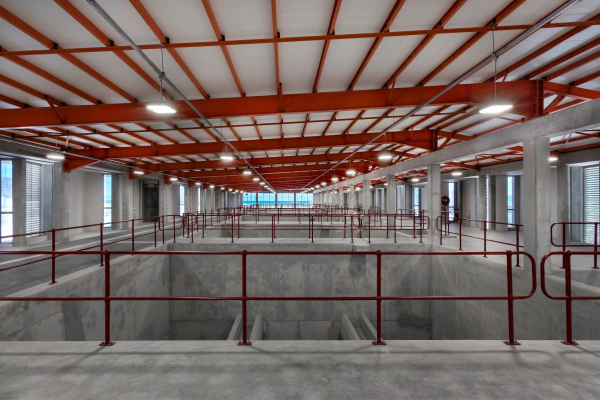 ����� �������������� ���������� ����������� ��������� ����-����� � ��������� ���������� � Karl Rogers