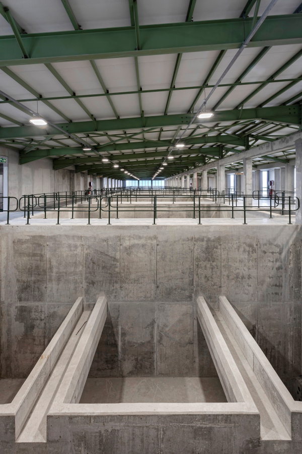 ����� �������������� ���������� ����������� ��������� ����-����� � ��������� ���������� � Karl Rogers