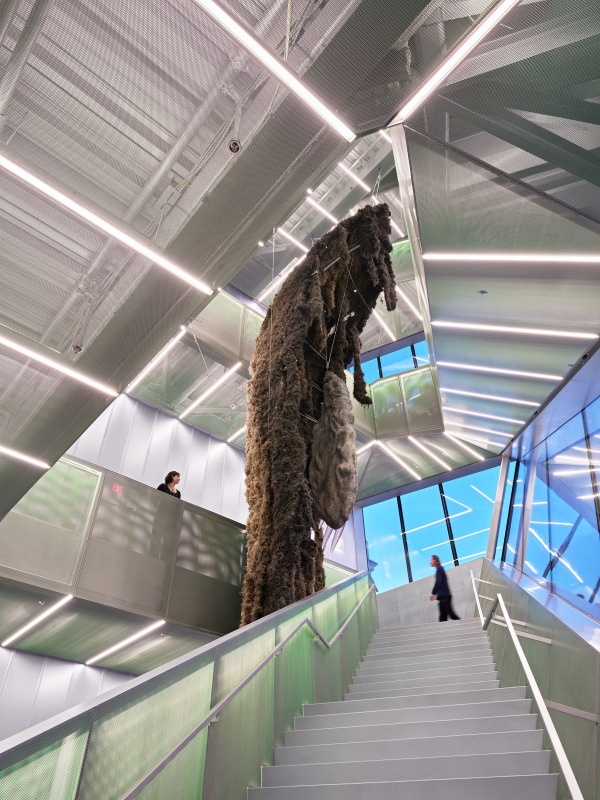 ����� ����� � ���-����� � ����� ������ ���� ������������� ����� ������ / New Museum. ��������: Jason Keen