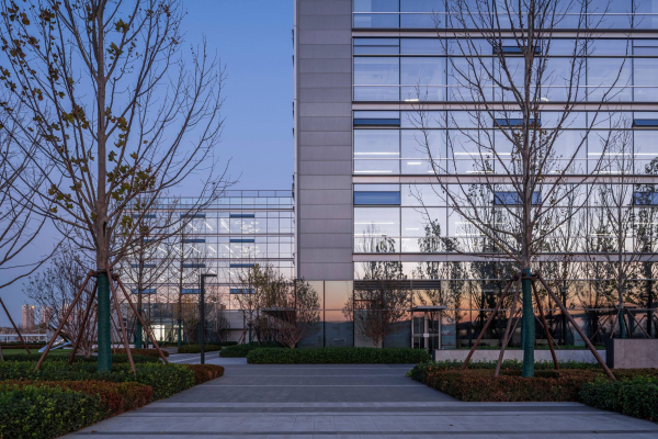 ���� ���������� � ��������� Lenovo � ��������� ���� � Jin Weiqi