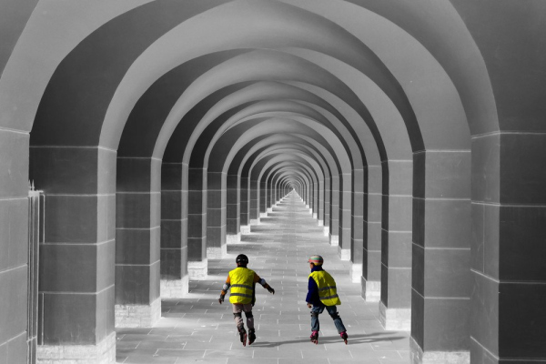 �����. �������: ������� ������������. ����������. ����������� � �������� ���������