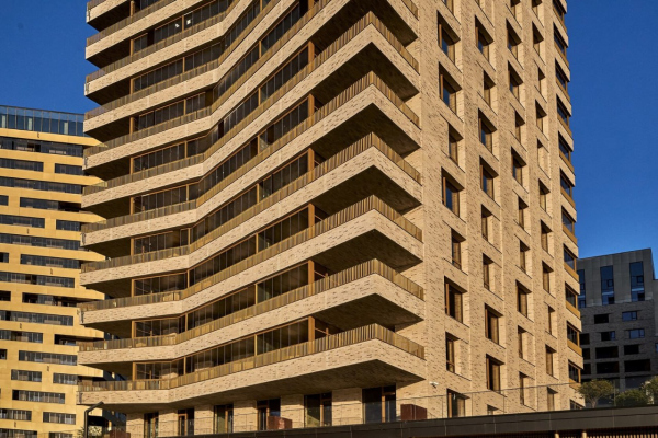  � ����������� �����������