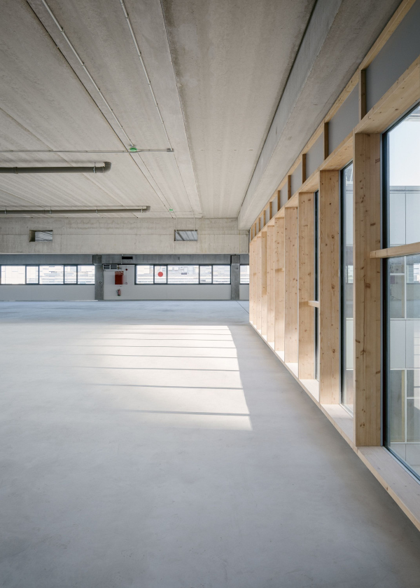 ������-����� Delta ���� � Aldo Amoretti. ������������� PichArchitects