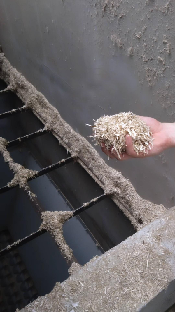 ��������� �� ������������ � �������� ������������ � Ramdam & Palast