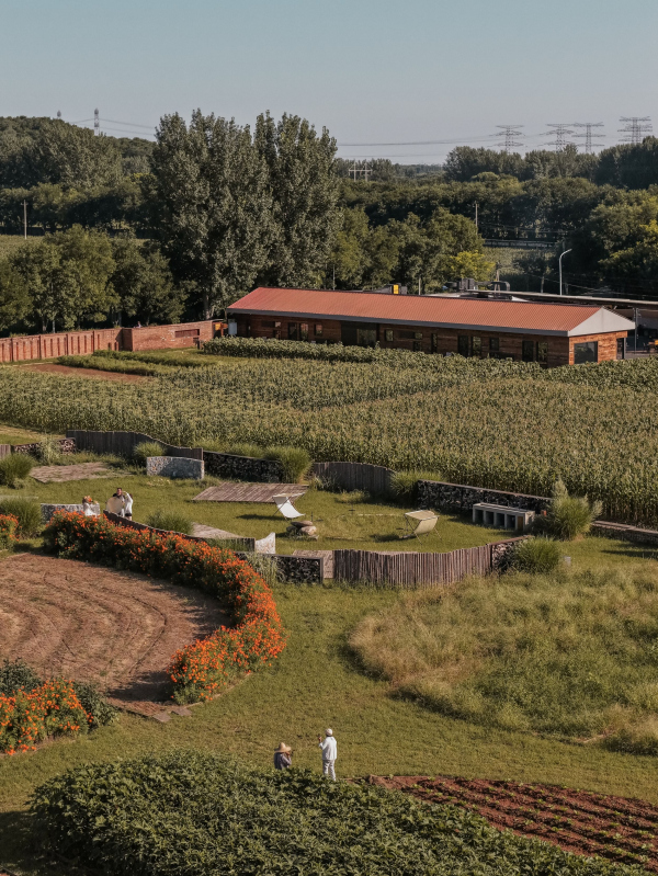 �������� ������ ��� ������� ���������� � Qin Wei / ������������� Fon Studio