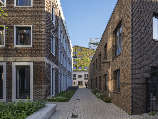 ����� �������� Nieuw Bergen ���� � Ossip van Duivenbode