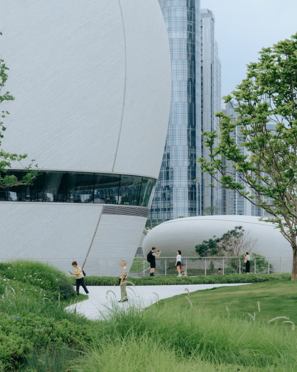 ������� �������� �������������� ������ ���������� � Zhu Yumeng / ������������� MAD Architects
