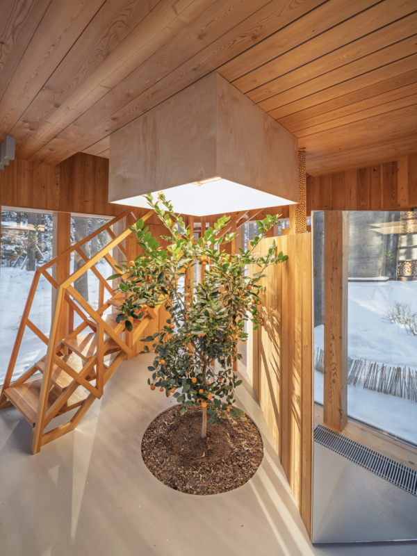 Sauna Tower (�����-����) /
��������� ��������, ����� ������ ���������� � ���� �������