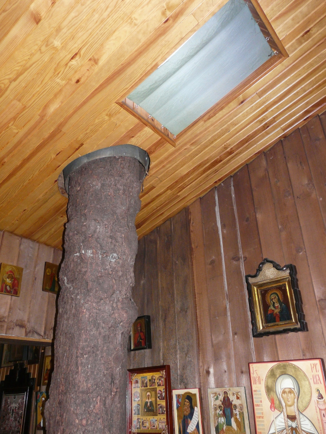 ���� ����. �������� ���������� �� ����� ˸����