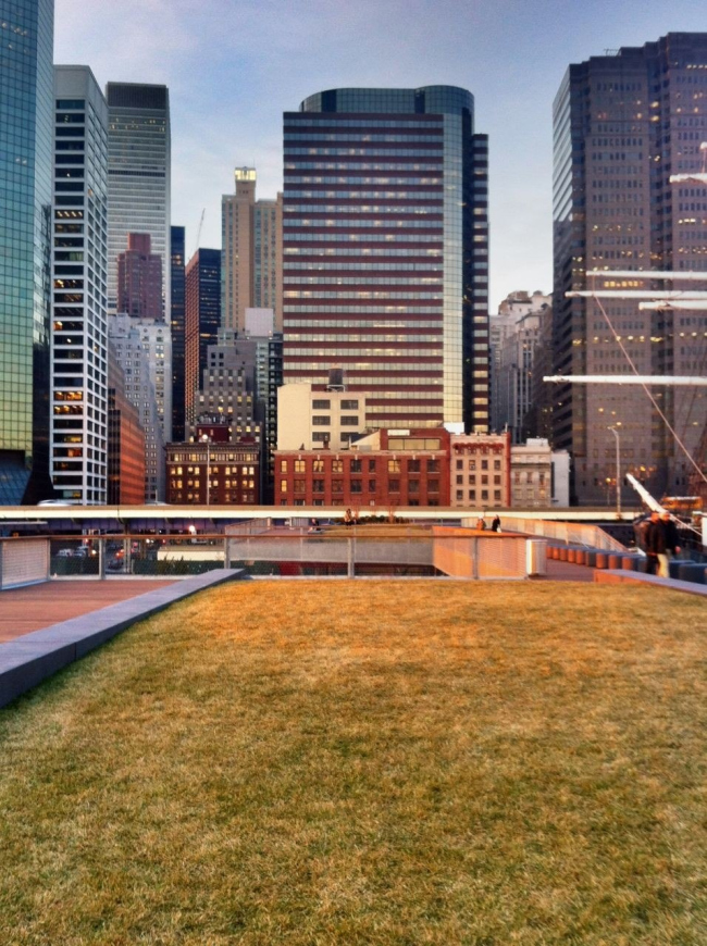 ���� 15. ���� Walking Off the Big Apple