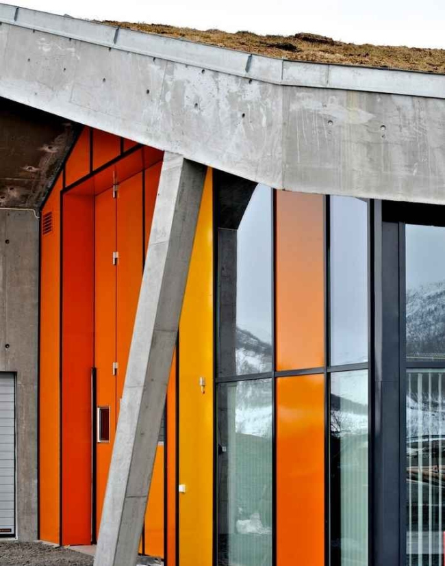 ���� �������� �������� � Nils Petter Dale