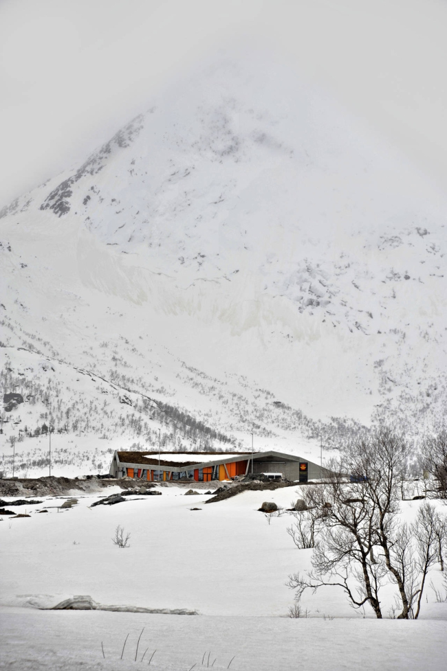 ���� �������� �������� � Nils Petter Dale