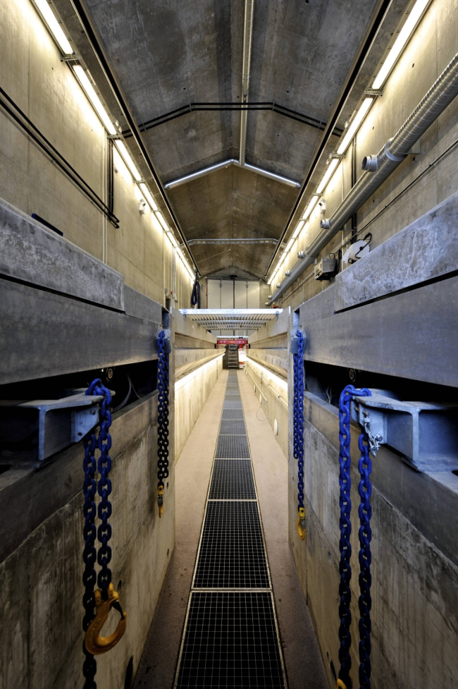 ���� �������� �������� � Nils Petter Dale