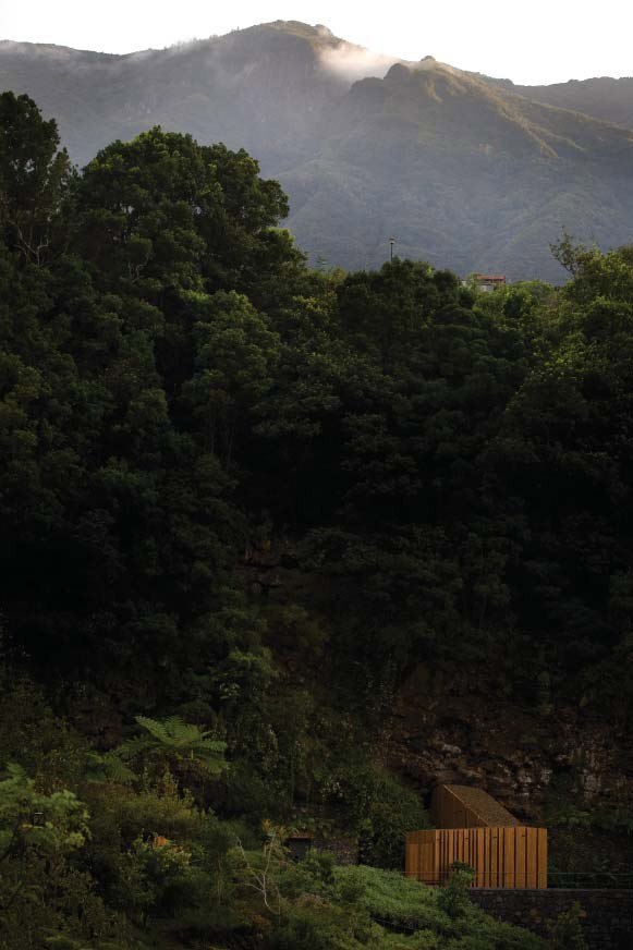 ����� �����. ������� ��� ��������� ����� � ���-�������. 2006. ���� ������������� ������ ������ �����