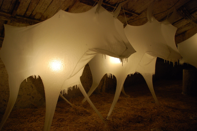 ������� �������. ������ �CENO�. ���������� �������� ������� ��������� ����. ���� ������ ����������