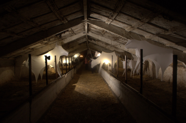 ������� �������. ������ �CENO�. ���������� �������� ������� ��������� ����. ���� ������ ����������