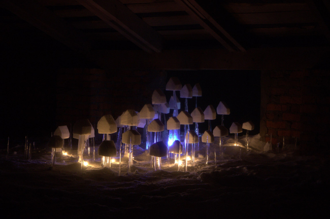 ������� ������. ������ ����������. ���� ������ ����������