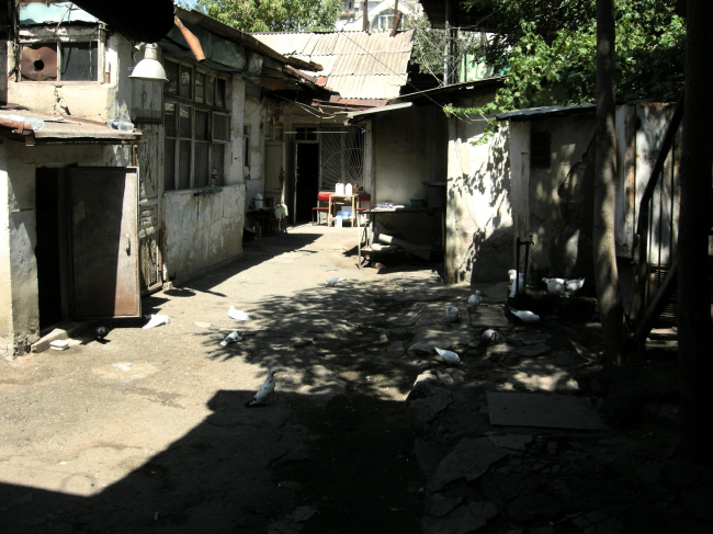 ������, ��. �������. ������. ����: �.������, ������ 2011