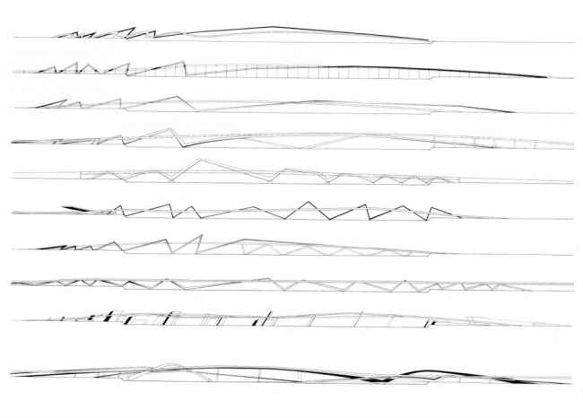 ���� ����� ����� �����