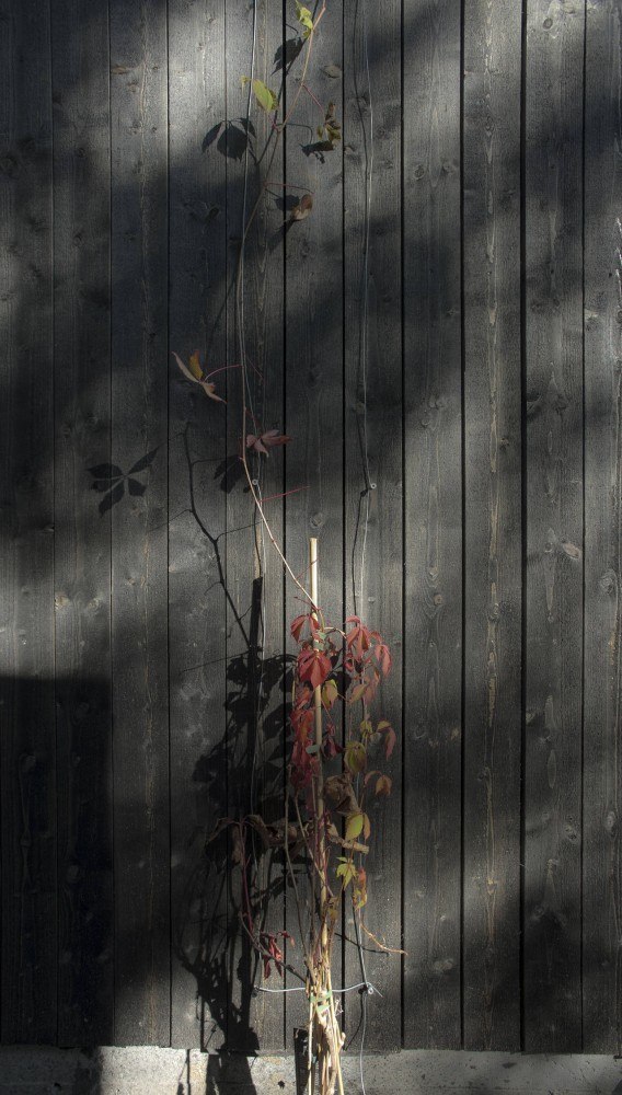 ��������� ɸ�������� ������ ������ ���������� � Pasi Aalto