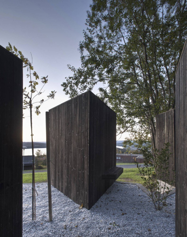 ��������� ɸ�������� ������ ������ ���������� � Pasi Aalto