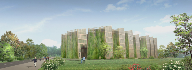 ������ ���� ��-� ������� (���-���). ��� ���������