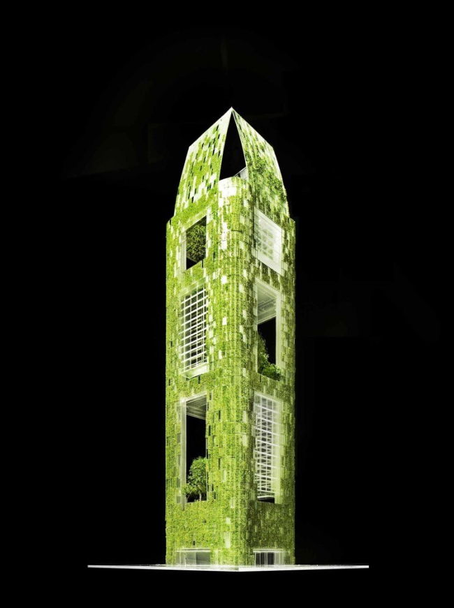 ����� Oasia Downtown 