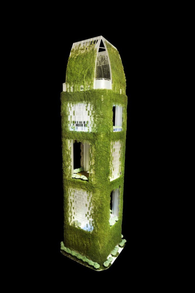 ����� Oasia Downtown 