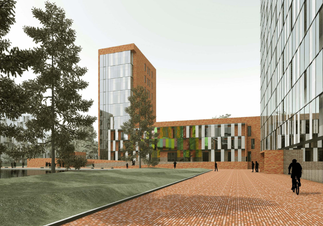 ������������� ����������� ������ ��������� �� ���������� ������� ����������� ����������-���������������� ���������