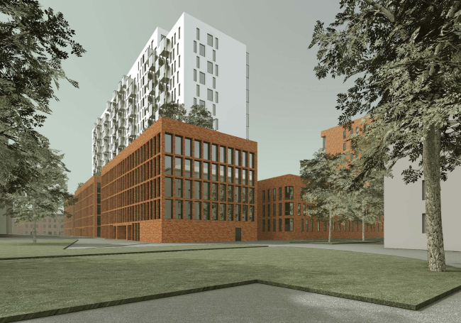 ������������� ����������� ������ ��������� �� ���������� ������� ����������� ����������-���������������� ���������