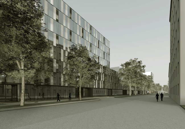 ������������� ����������� ������ ��������� �� ���������� ������� ����������� ����������-���������������� ���������