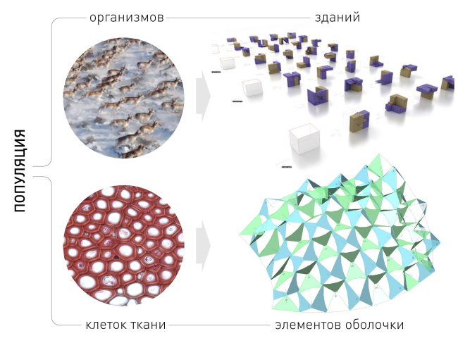 ��������� � ������� � � �����������