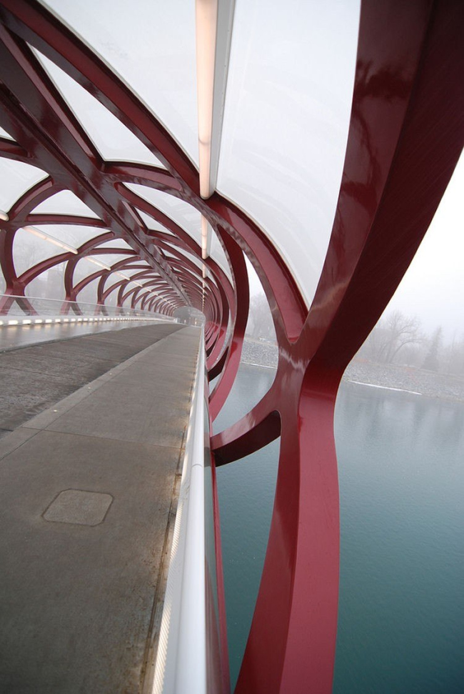 Мост Мира. Фото Nelson Hein