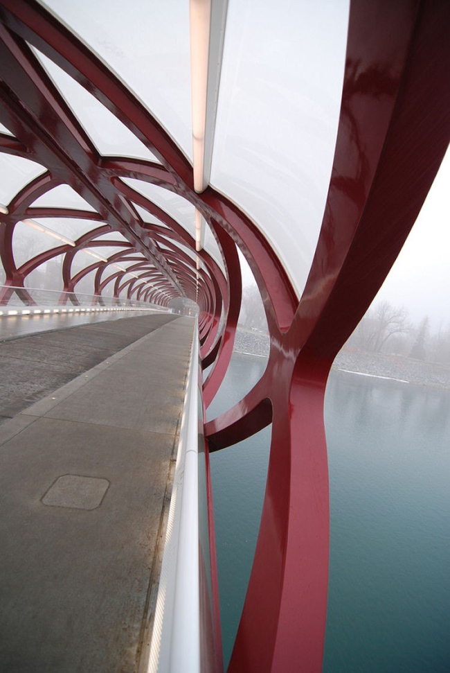 ���� ����. ���� Nelson Hein