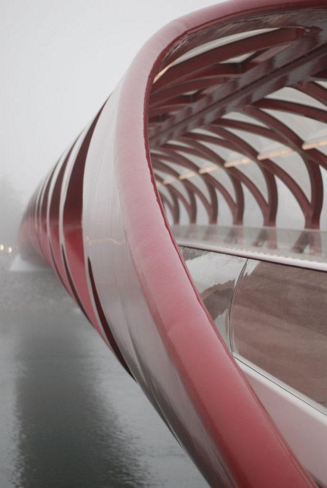 ���� ����. ���� Nelson Hein