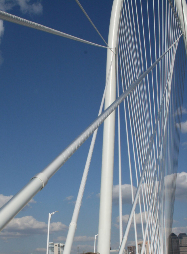 ���� �������� ���� ����. ���� The Trinity Trust