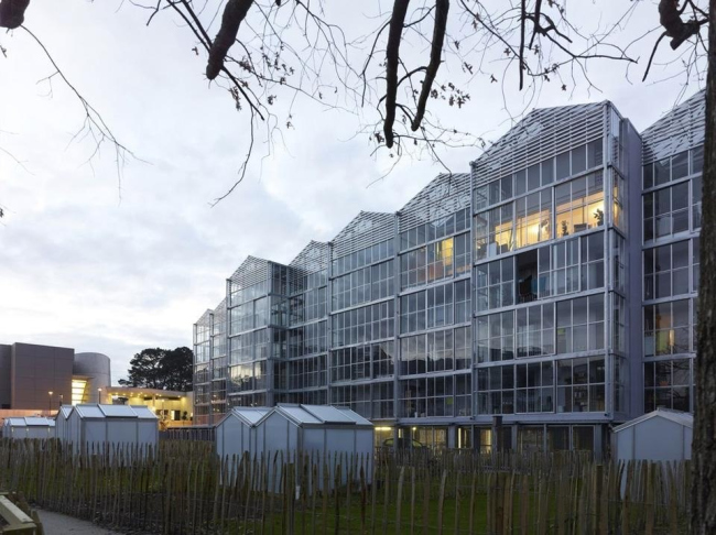   Boréal.   Stéphane Chalmeau