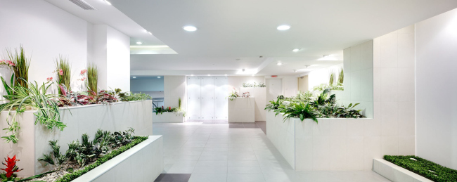 ����������� ����� �������� 31� � ABD architects