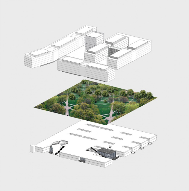 ����������� ����� ����� ������ � SOM