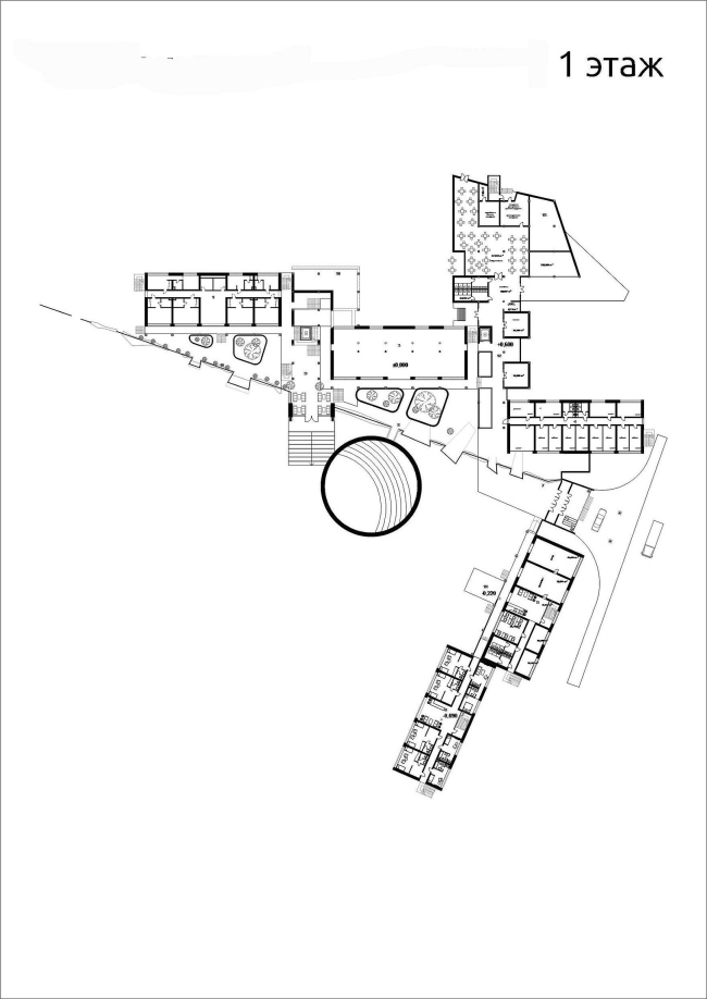 ���� ������� �����