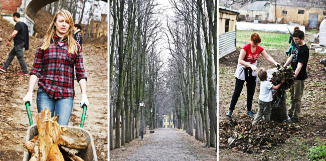 ���� ������ ������