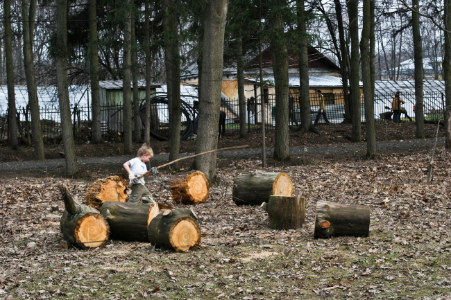 ���������. �������. ���� ������ ������