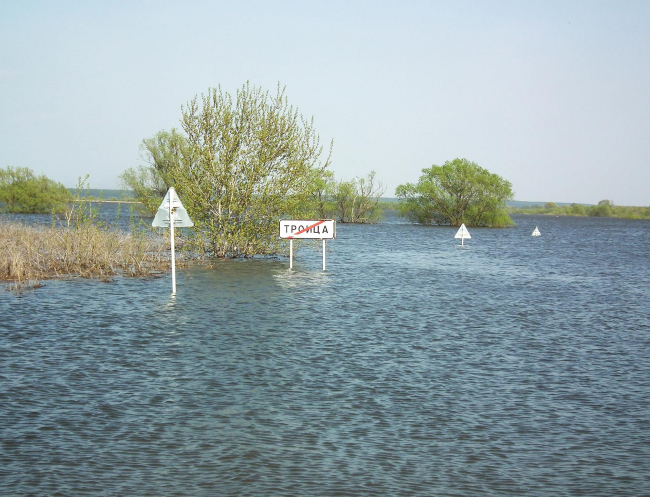 ������ �� ���. ���������� ���� �����������